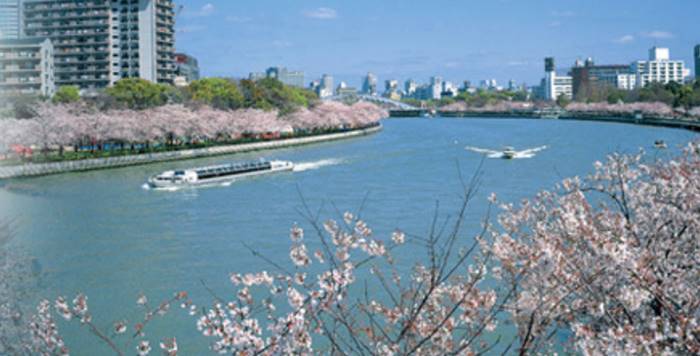 오사카 벚꽃 놀이 명소 게마사쿠라노미야 공원